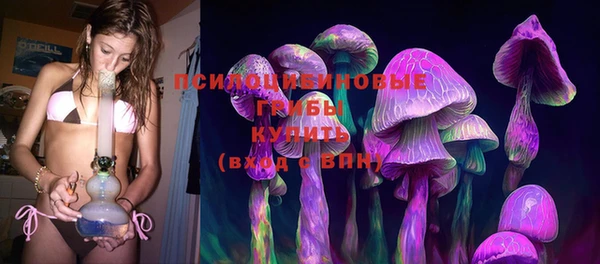 скорость Пестово