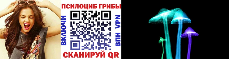 Галлюциногенные грибы мицелий  Новосибирск 