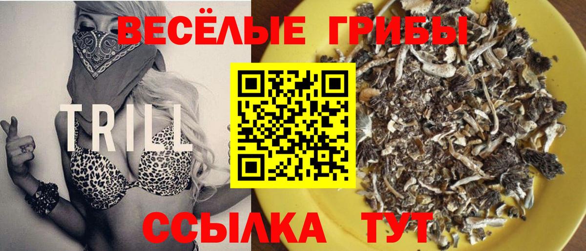 Новосибирск  Галлюциногенные грибы Psilocybine cubensis  Псилоцибиновые грибы ЛСД  Вход с VPN 
