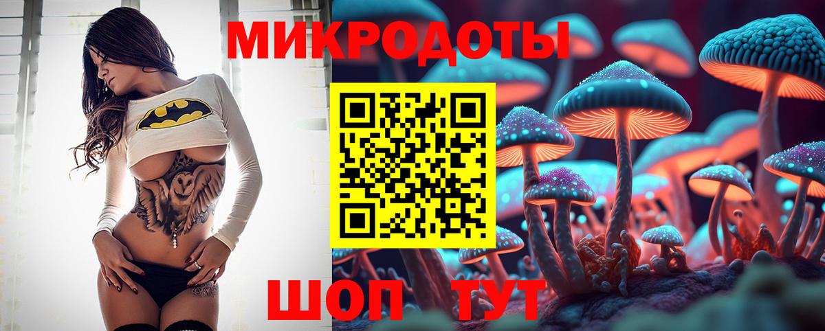 Псилоцибиновые грибы Cubensis Новосибирск