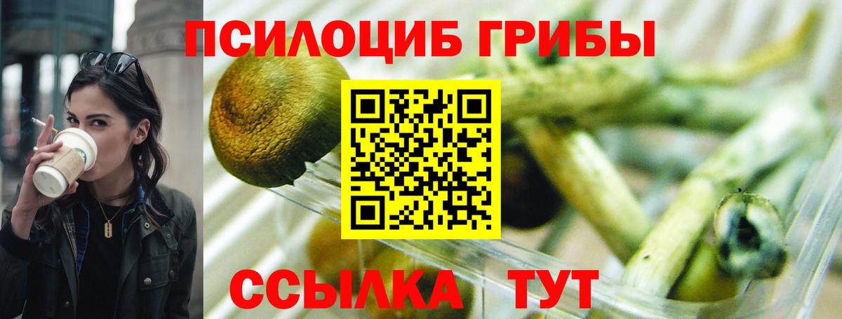 Галлюциногенные грибы мухоморы  Галлюциногенные грибы Psilocybe  Вход с VPN  Новосибирск 