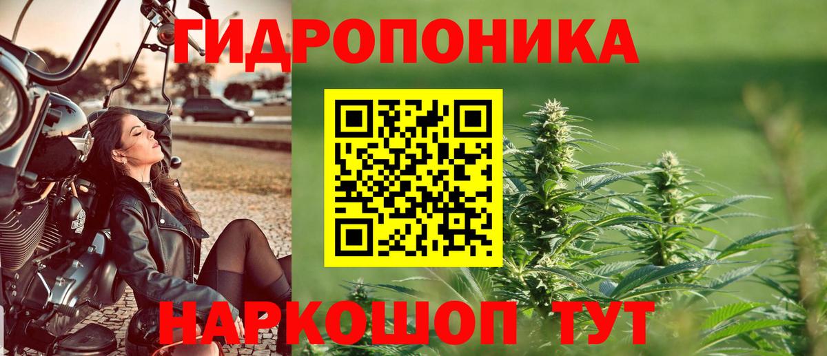 Бошки марихуана MAZAR Новосибирск